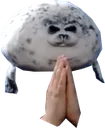 sealpray
