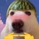uwu