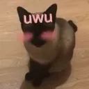 uwu