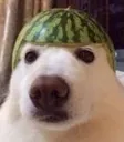 deef