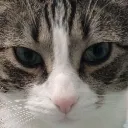 BooperSTARE