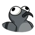 derp
