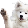 WL_Doggo_Wave Discord emoji