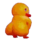 dussyRainbow dussyRainbow