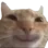 Catyay catyay Discord Emoji