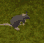 ZOOM Discord emoji