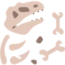 dinobones