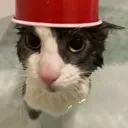 dampcat Discord Emoji