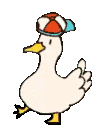 duckdance duckdance