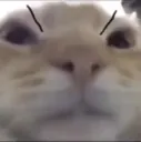 Mad