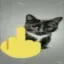 CatFUCKYOU