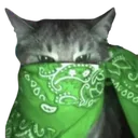 green_bandana_cat