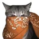 orange_bandana_cat