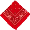 bloodbandana