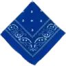cripbandana