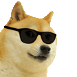 Doge
