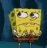 spongewhat
