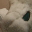 reshLurk