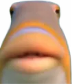 Huh