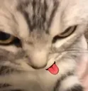 jejeje