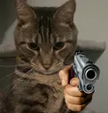 Majiigunstickemup