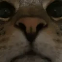 majiidouhavegamesonurphone