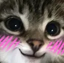 majiiblush