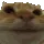 no