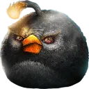 biggest_bird