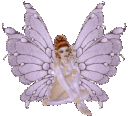 fairy