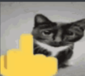 cat_hand_fu_middle_finger Discord emoji