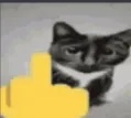 cat_hand_fu cat_hand_fu