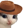 meowdy