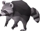 osrs_rocky