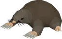 osrs_mole