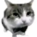 whar