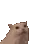MISmeowhearts