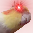 demon_birb