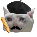frenchsadcat Discord emoji