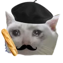 frenchsadcat