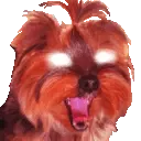 BBInsane