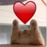 kittyLove