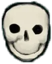 realisticskull