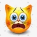 catshock