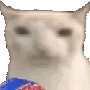 aRC_CatEat