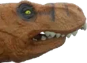 Rex26