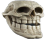 :trollskull: