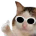 DR_CatNais