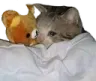 LonerSleepOwO