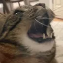 ADMjfititfyifykfhhhyidhggdtgdkcu